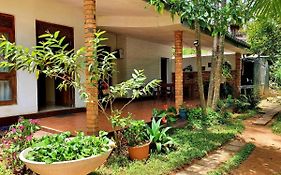 Sun Beam Homestay